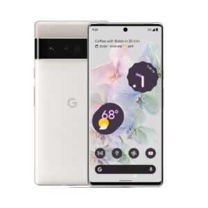 Pixel 6 Pro